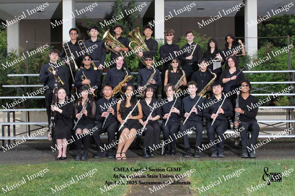 Musical Images
